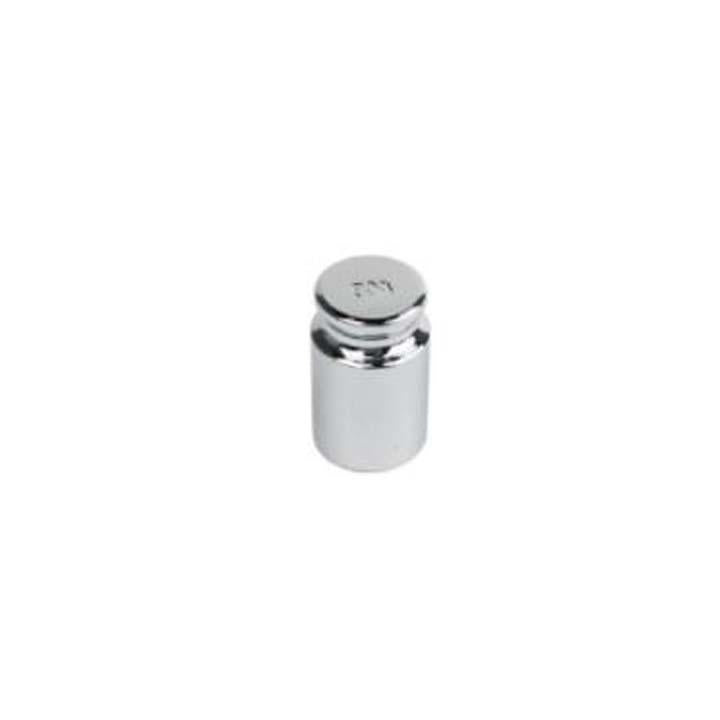 50g Weight